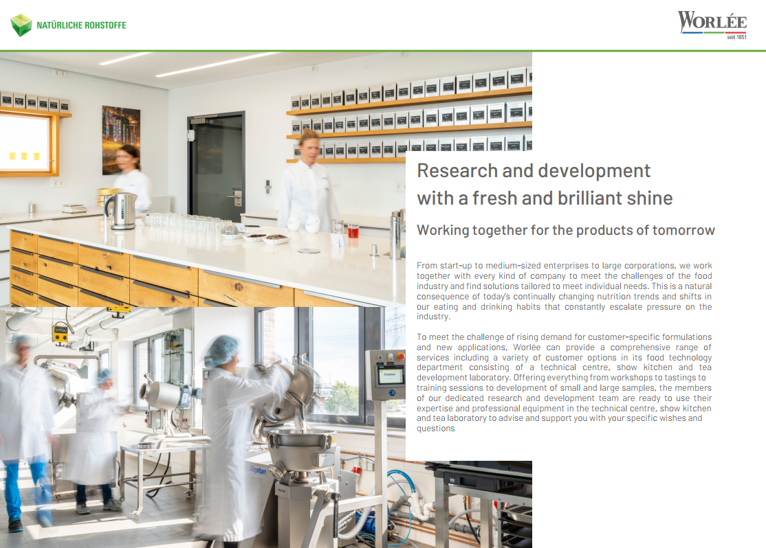 WNP Flyer Research and Development (Inglês)
