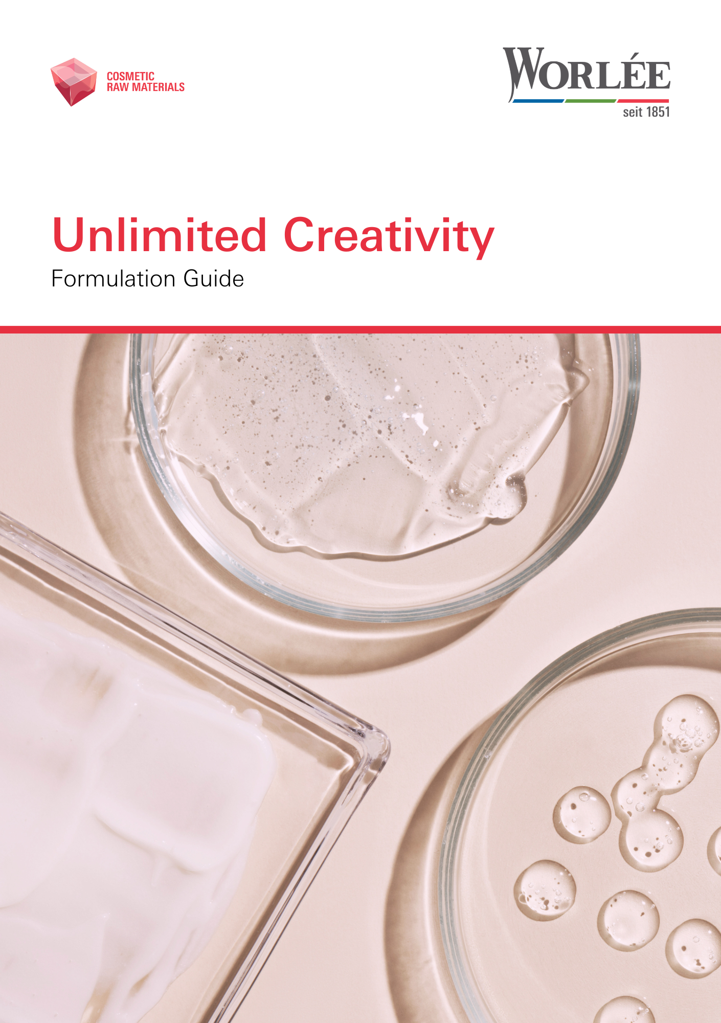 Cosmetic Formulation Guide 2-2023