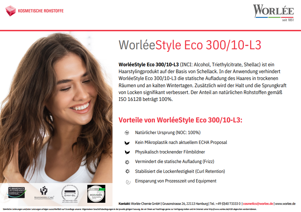 Flyer WorléeStyle Eco 300/10 L3