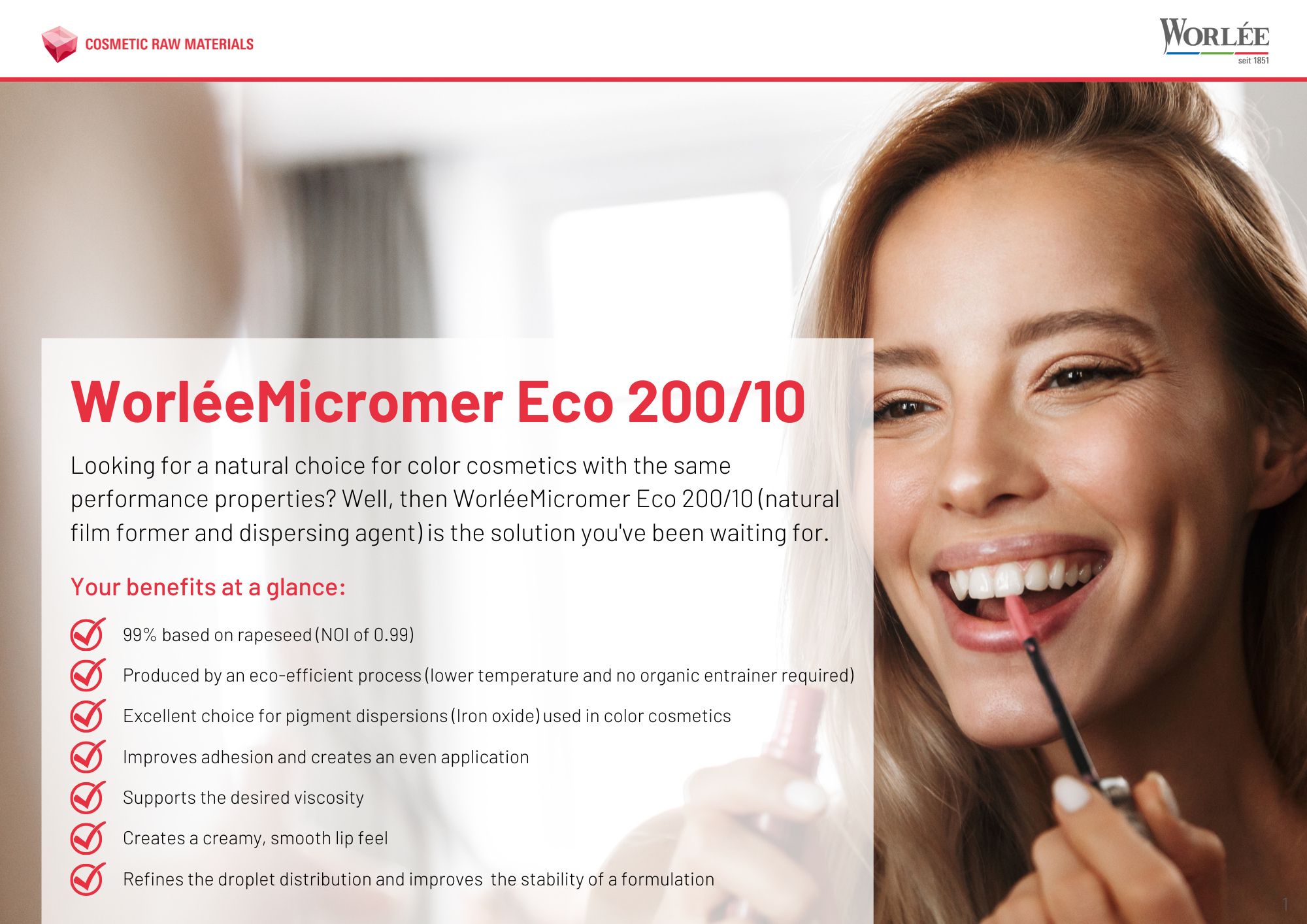 Flyer WorléeMicromer Eco 200/10 (Englisch)
